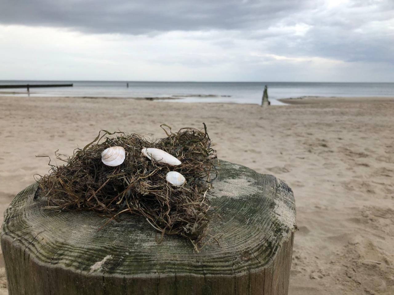 Ferienwohnung Strandnah Zempin Bagian luar foto