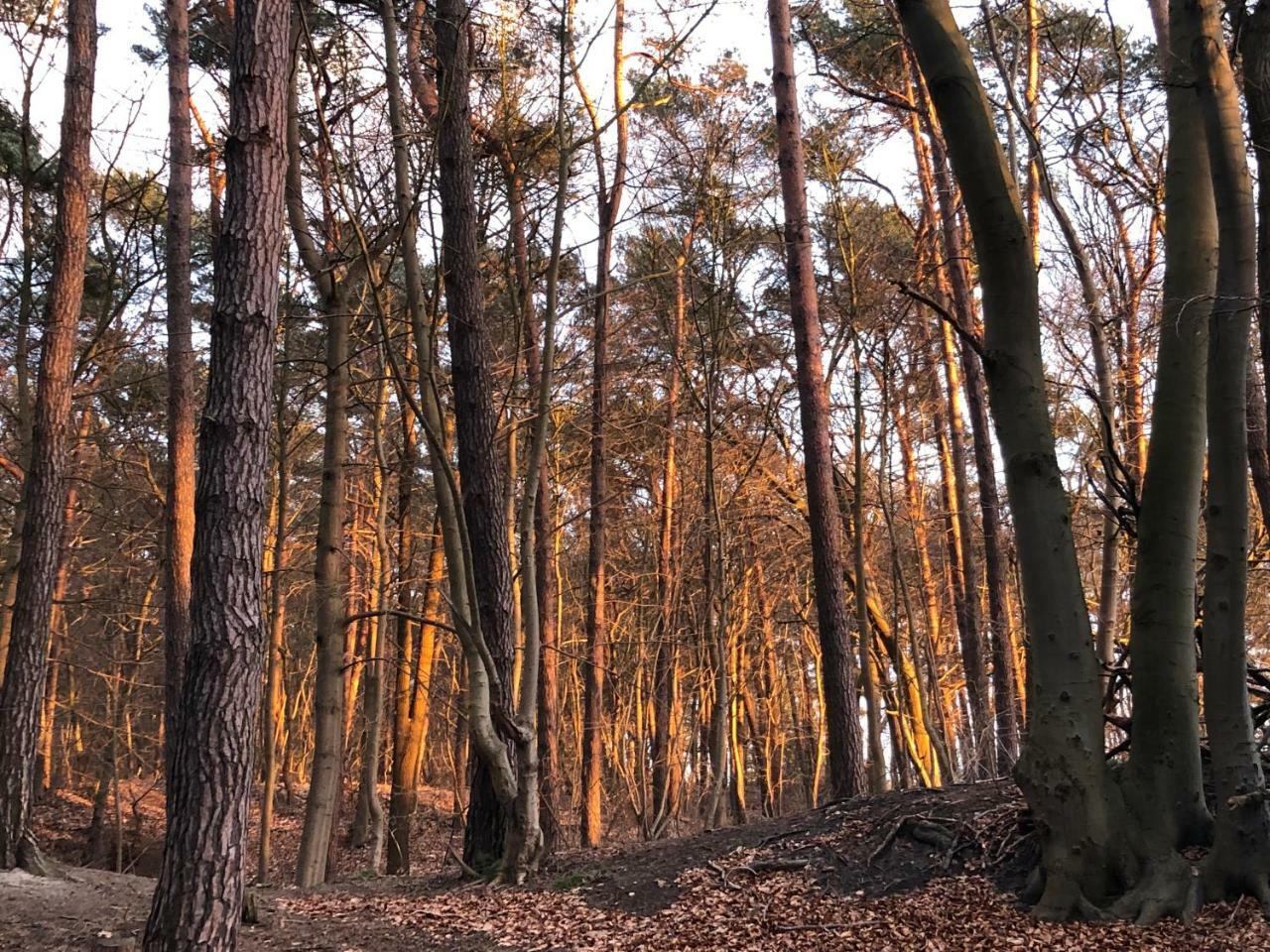Ferienwohnung Strandnah Zempin Bagian luar foto